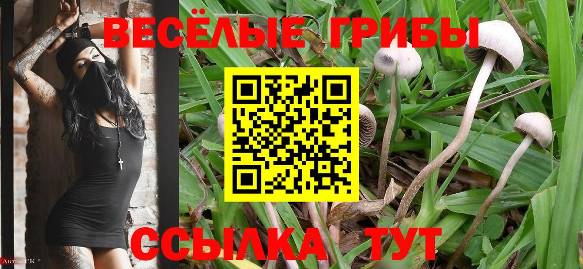 Псилоцибиновые грибы Magic Shrooms Абакан